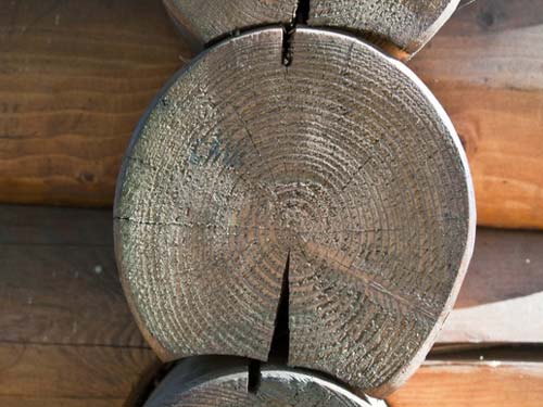 Преимущества древесины для строительства домов